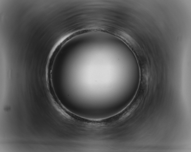 X0000087330788200704201127