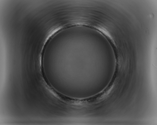 X0000087330790200704201127