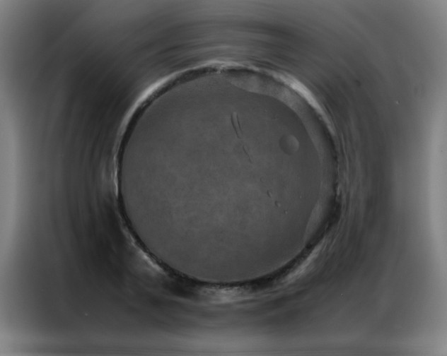 X0000087330791200704201127