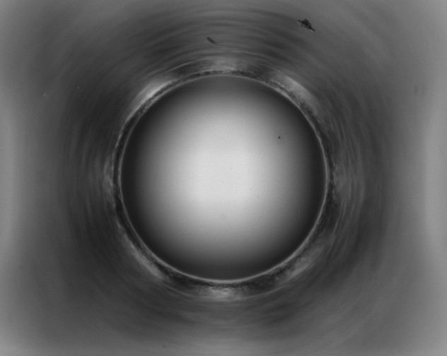 X0000087330794200704201127