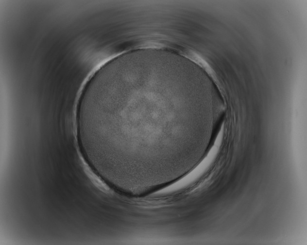X0000087330795200704201127