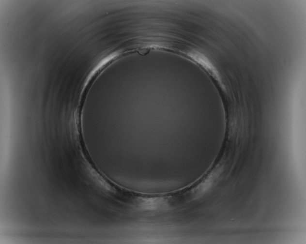 X0000087330798200704201127