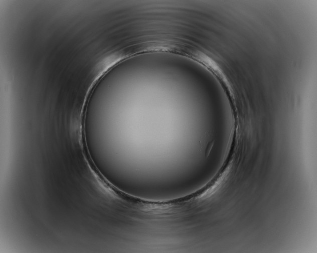 X0000087330802200704201127