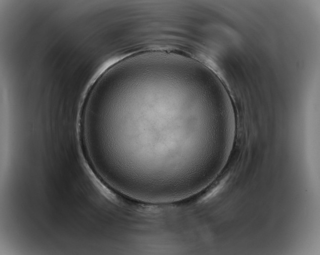 X0000087330803200704201127