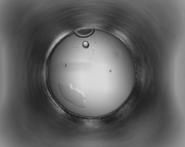 X0000087330804200704201127