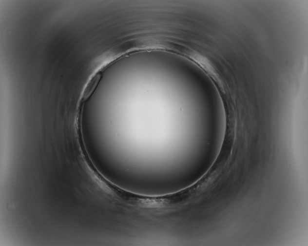 X0000087330805200704201127