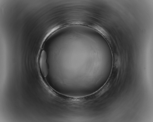 X0000087330806200704201127