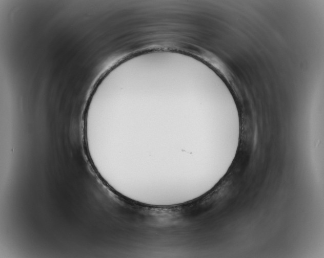 X0000087330807200704201127