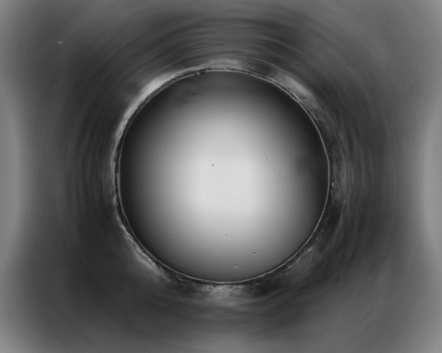 X0000087330808200704201127