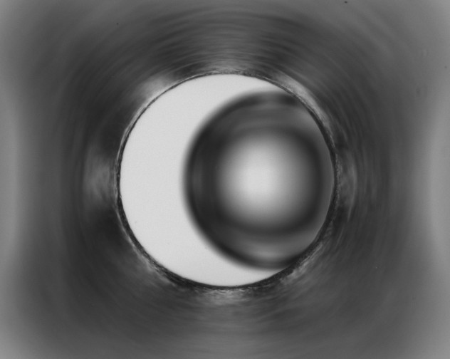 X0000087330810200704201127