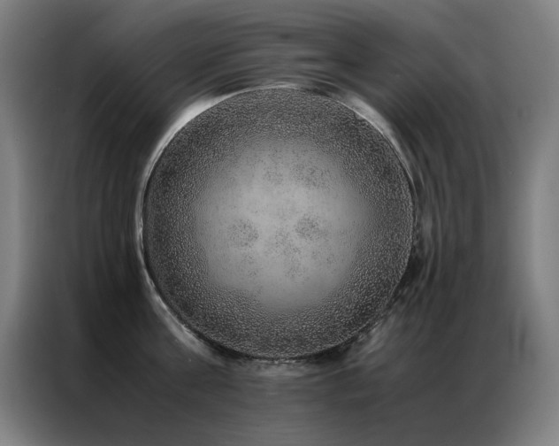 X0000087330811200704201127