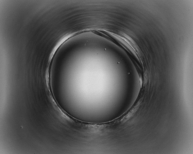 X0000087330812200704201127