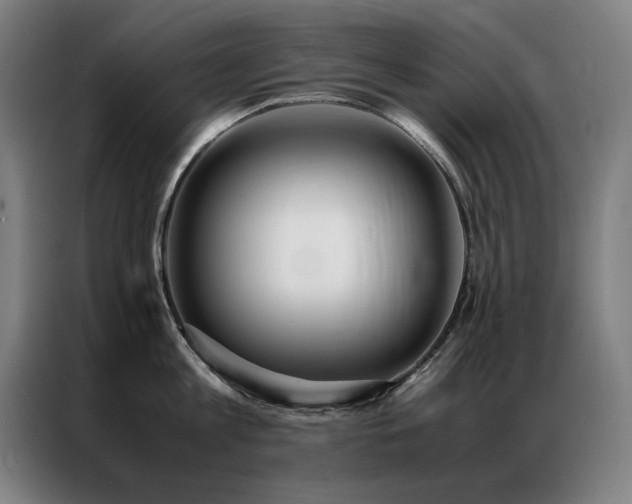 X0000087330813200704201127