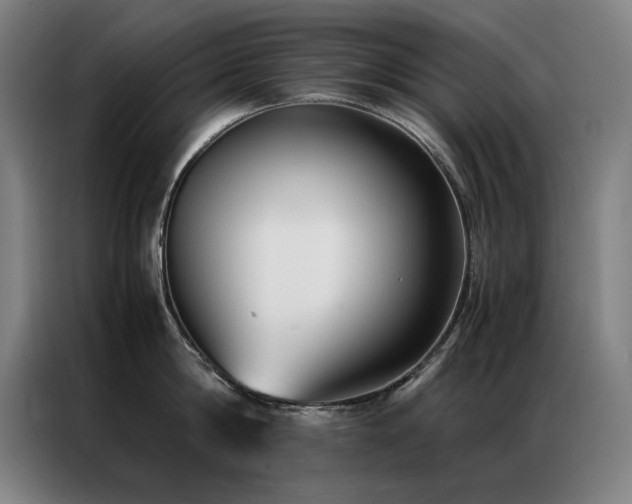 X0000087330814200704201127