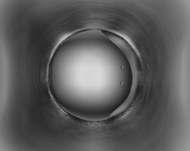 X0000087330815200704201127