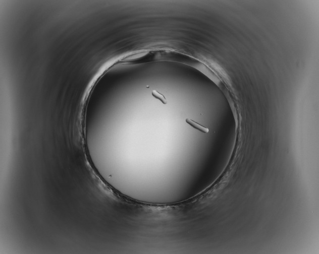 X0000087330816200704201127