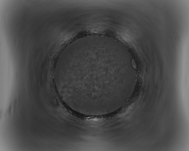 X0000087330817200704201126