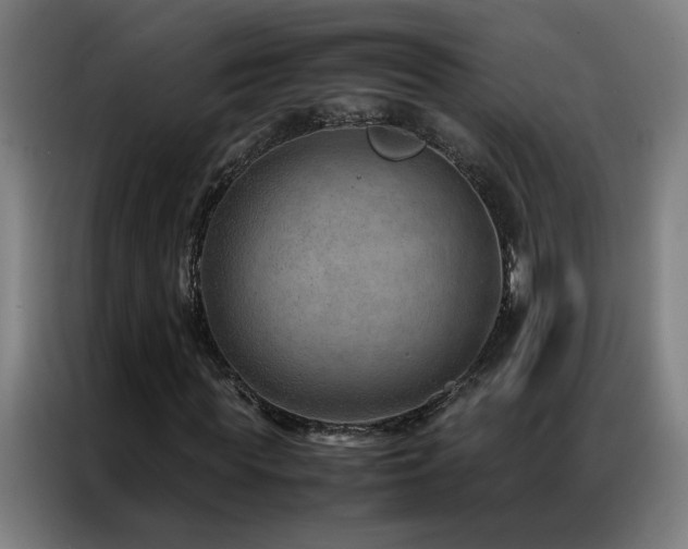 X0000087330819200704201126