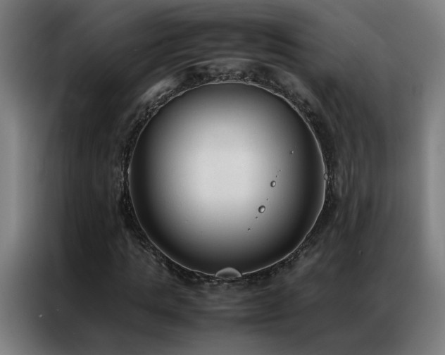 X0000087330821200704201126