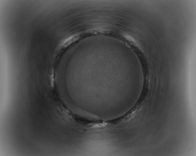 X0000087330822200704201126