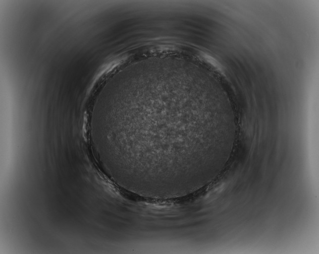 X0000087330823200704201126