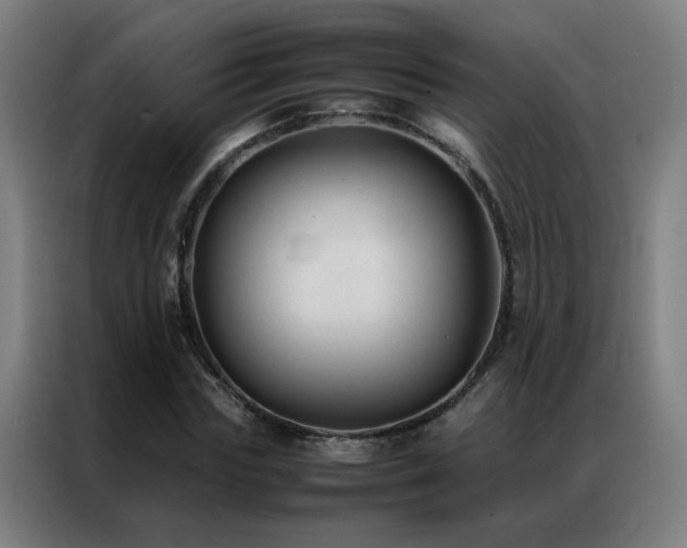 X0000087330827200704201126