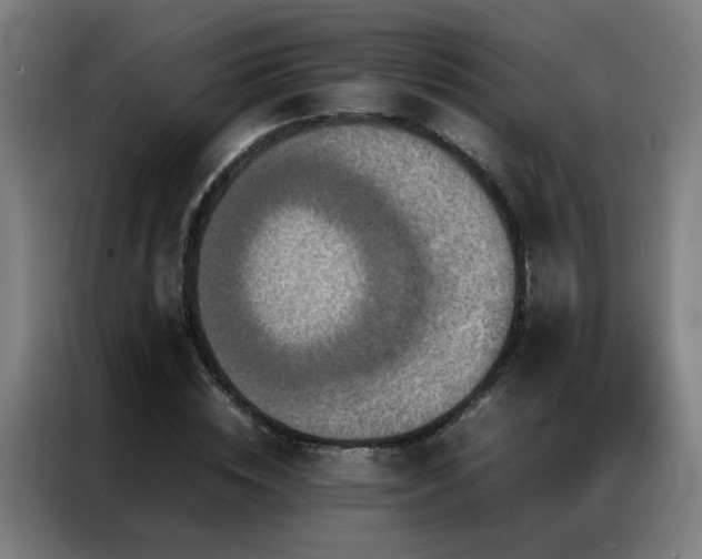 X0000087330828200704201126