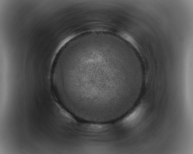 X0000087330829200704201126