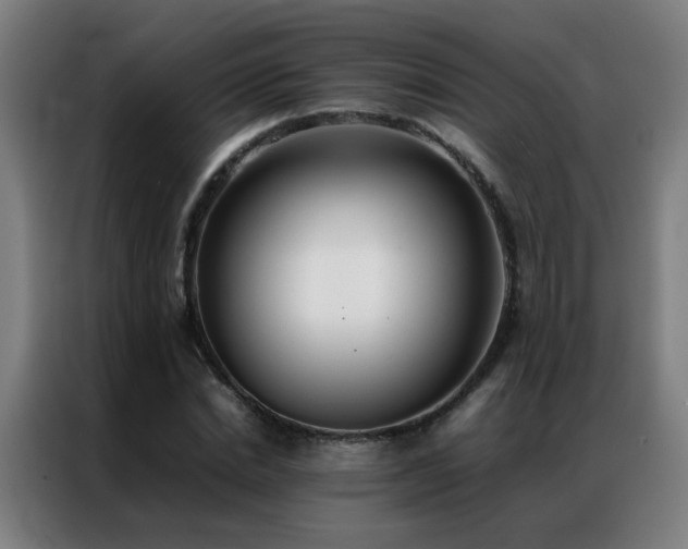 X0000087330830200704201126