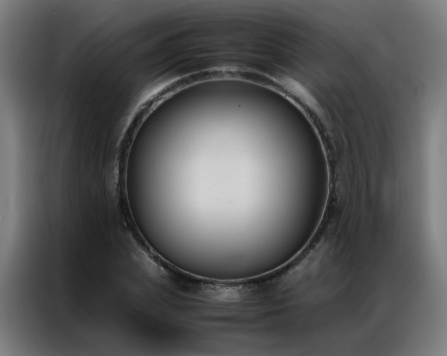 X0000087330831200704201126