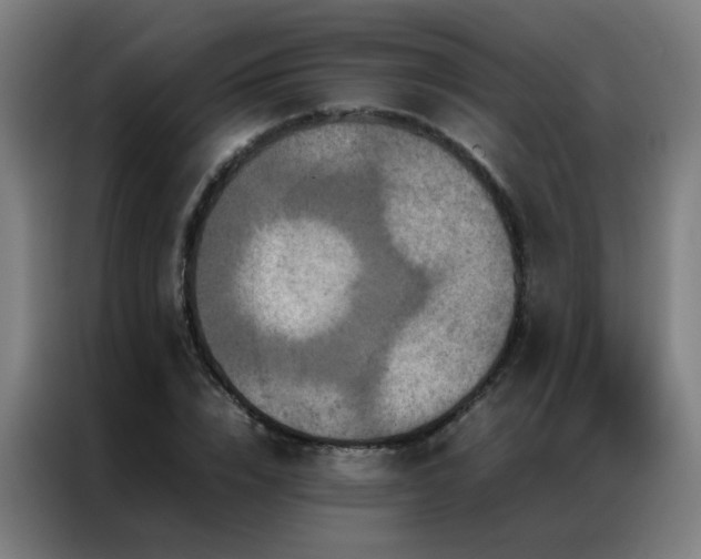 X0000087330832200704201126