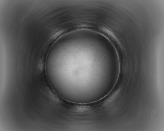 X0000087330833200704201126