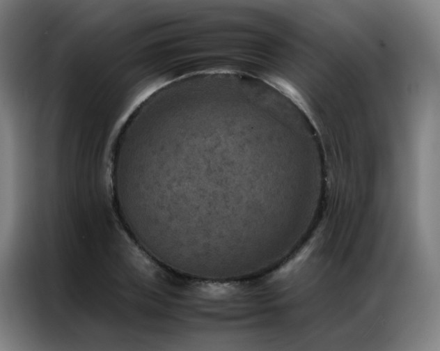 X0000087330835200704201126