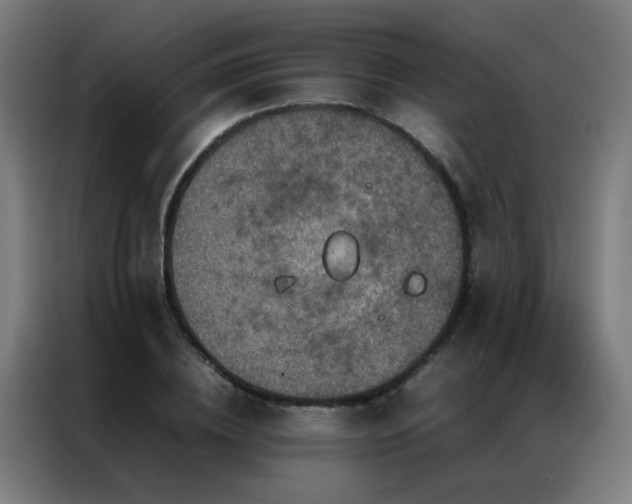 X0000087330836200704201126