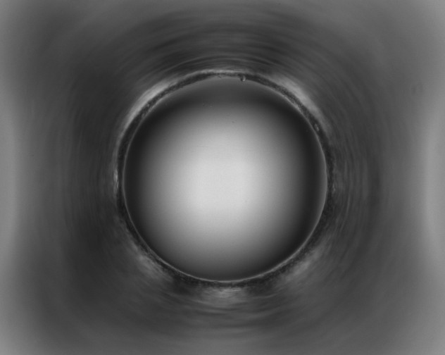 X0000087330837200704201126