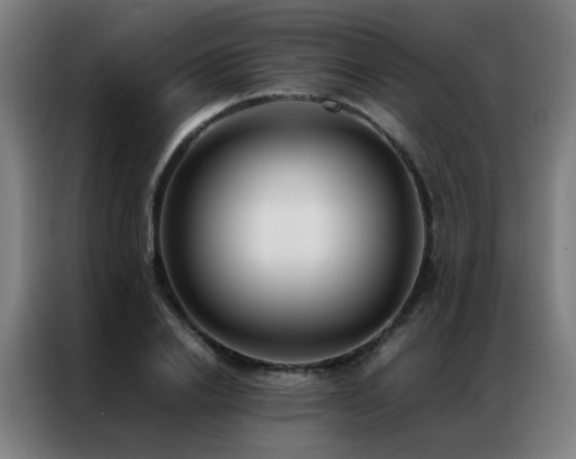 X0000087330838200704201126