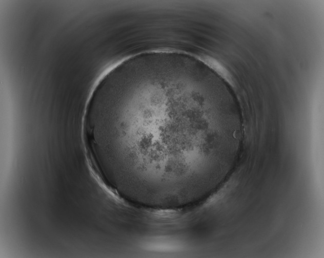 X0000087330839200704201126