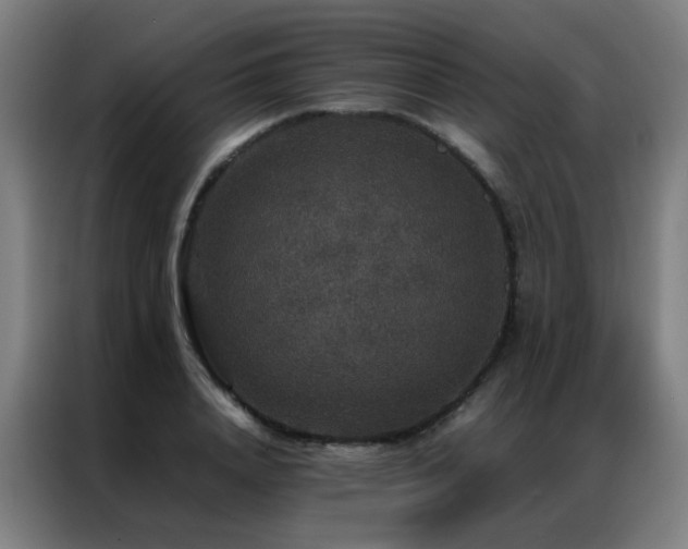 X0000087330840200704201126