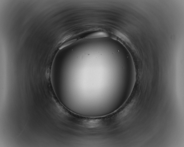 X0000087330841200704201126
