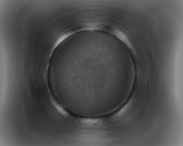 X0000087330842200704201126