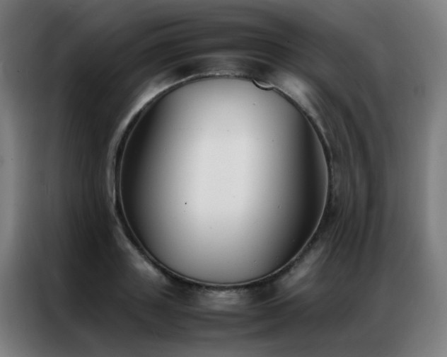 X0000087330843200704201126