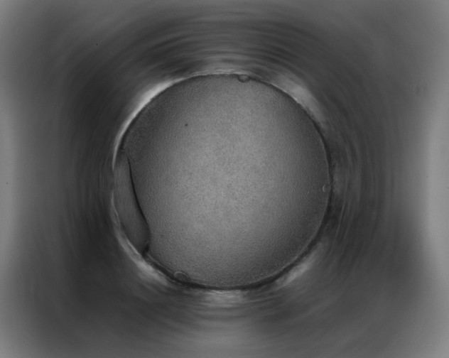 X0000087330844200704201126