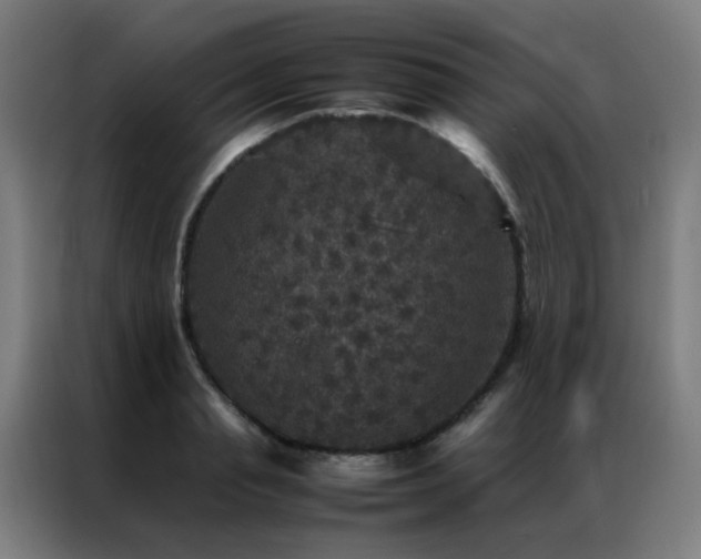 X0000087330845200704201126