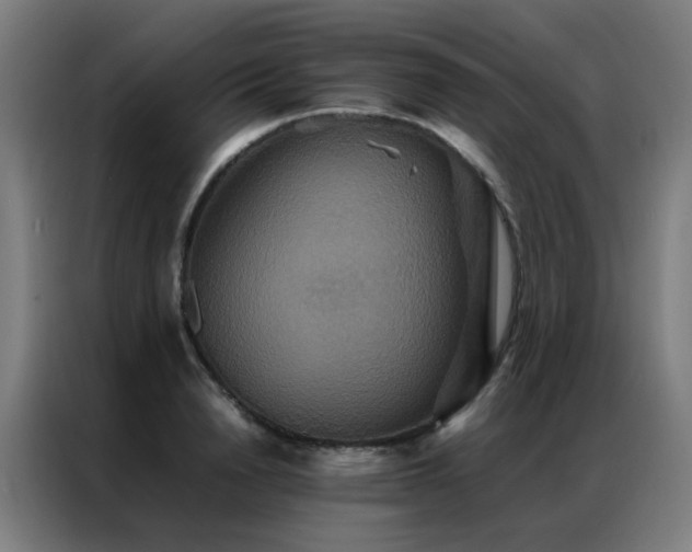 X0000087330846200704201126