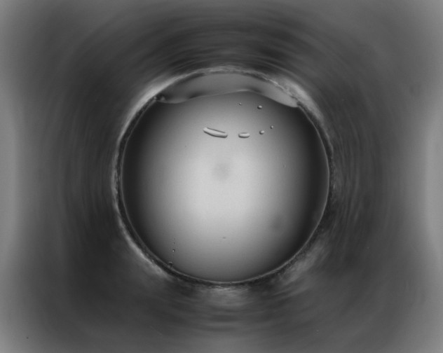 X0000087330847200704201126