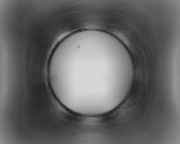 X0000087330848200704201126