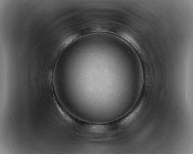 X0000087330849200704201126