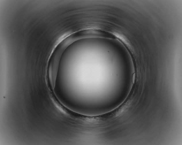 X0000087330850200704201126