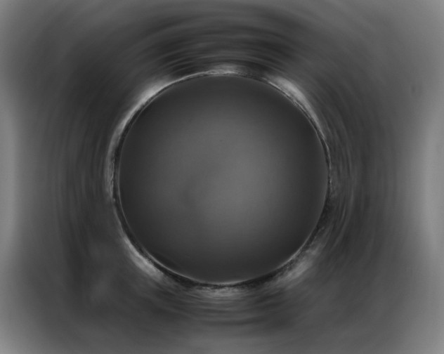 X0000087330851200704201126