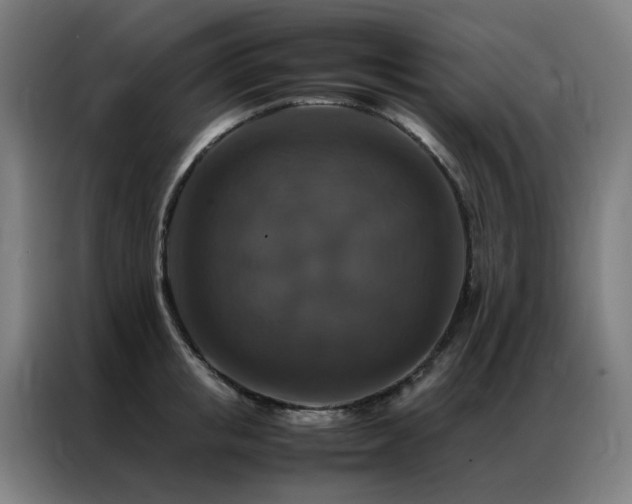 X0000087330853200704201126